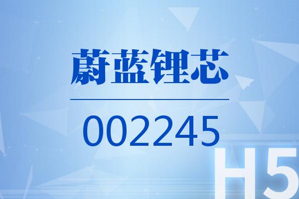 H5｜蔚蓝锂芯2024可视化半年报