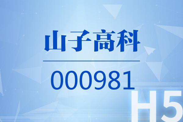 H5｜山子高科2025可视化一季报