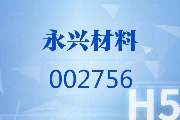 H5｜永兴材料2025可视化一季报