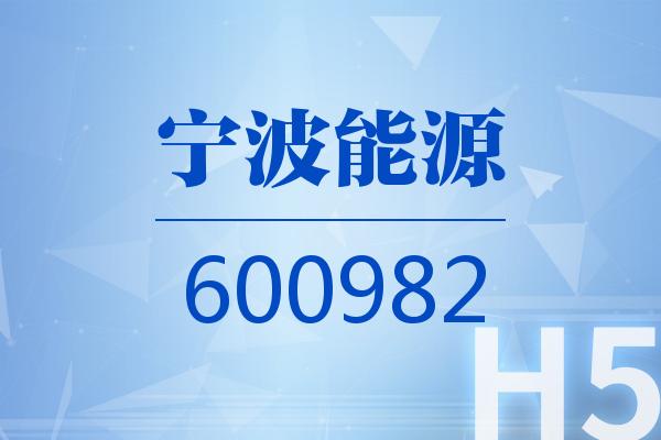H5｜宁波能源2025可视化一季报