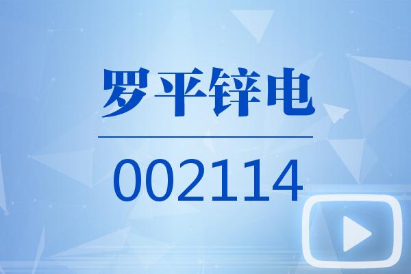 視頻｜羅平鋅電2024可視化年報