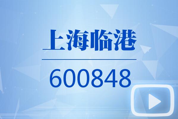 视频｜上海临港2024可视化年报