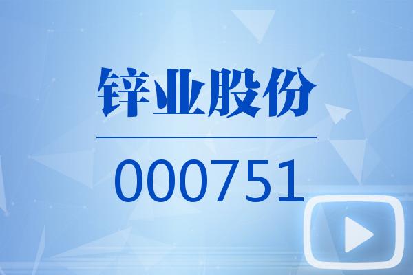 视频｜锌业股份2025可视化一季报