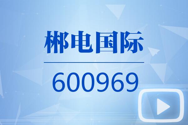视频｜郴电国际2025可视化一季报