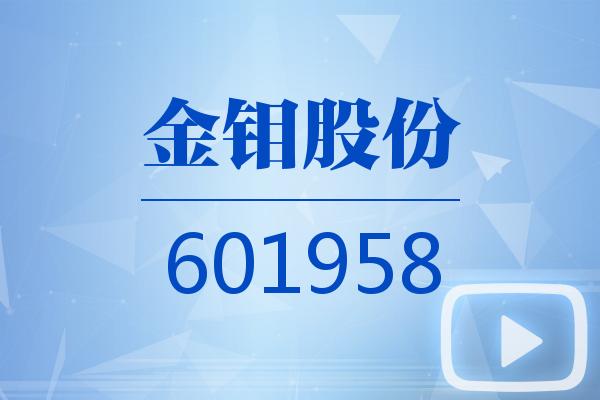 视频｜金钼股份2025可视化一季报