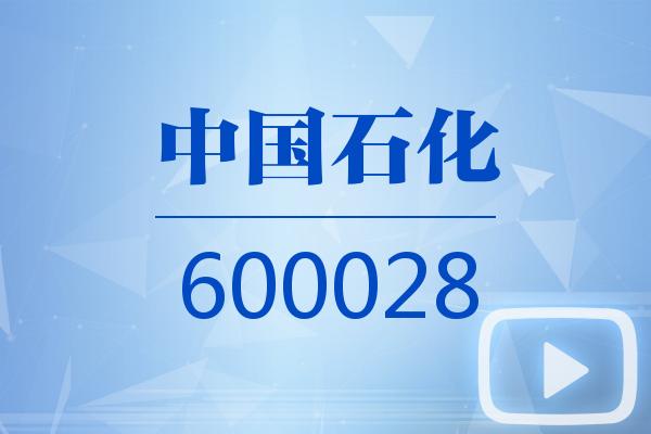 视频|中国石化2025可视化三季报