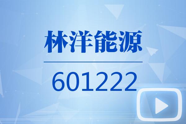 视频|林洋能源2025可视化三季报