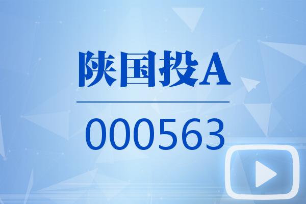 视频｜陕国投A2025可视化年报