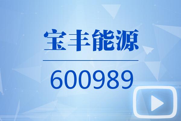 视频｜宝丰能源2025可视化年报