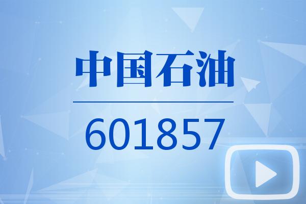 視頻｜中國石油2025可視化年報(bào)
