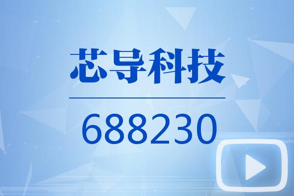 视频｜芯导科技2025可视化年报