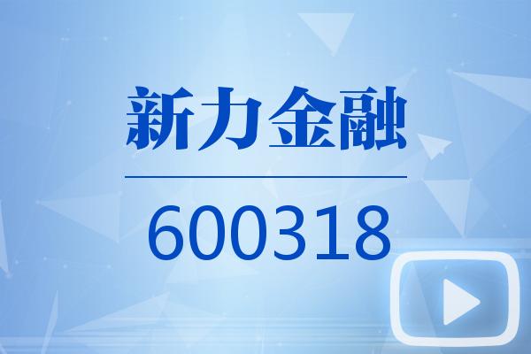 视频|新力金融2026可视化一季报